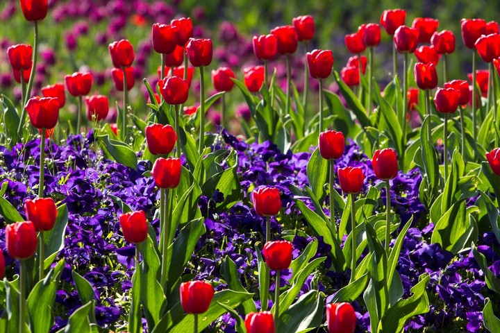 very beautiful picture....