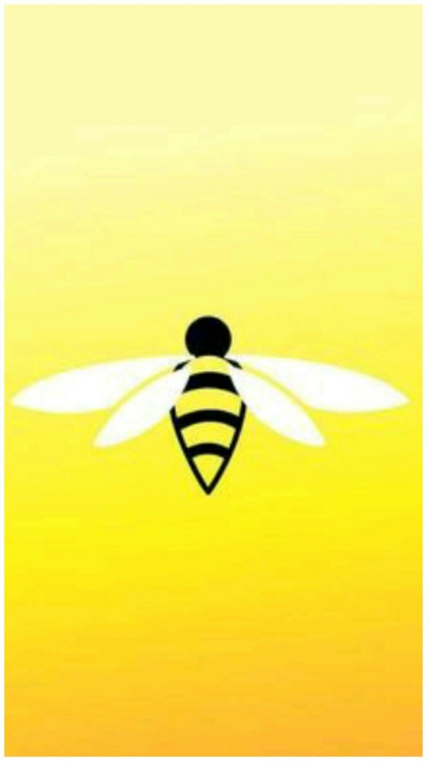 sfondi MiraculousLadybug, queenbee