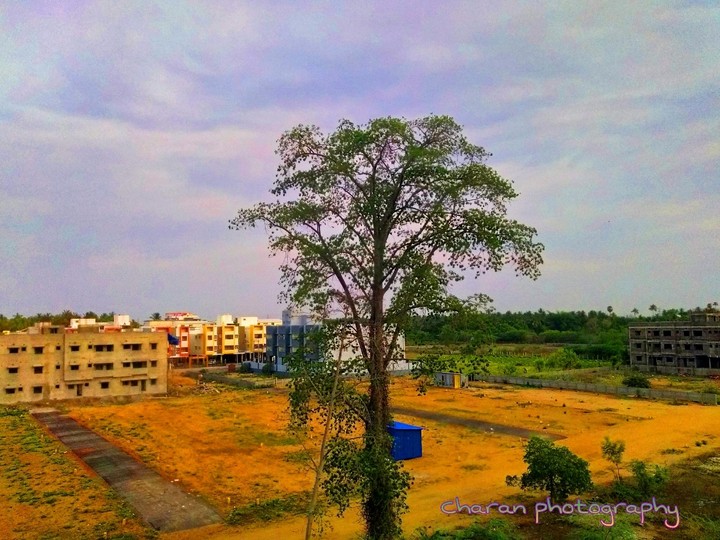 loanly beauty has been clicked
