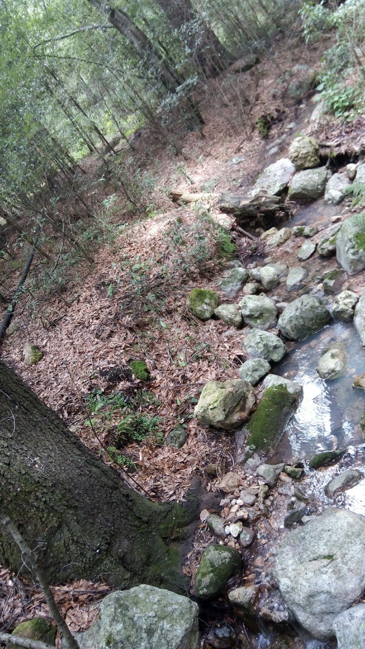 Agua 