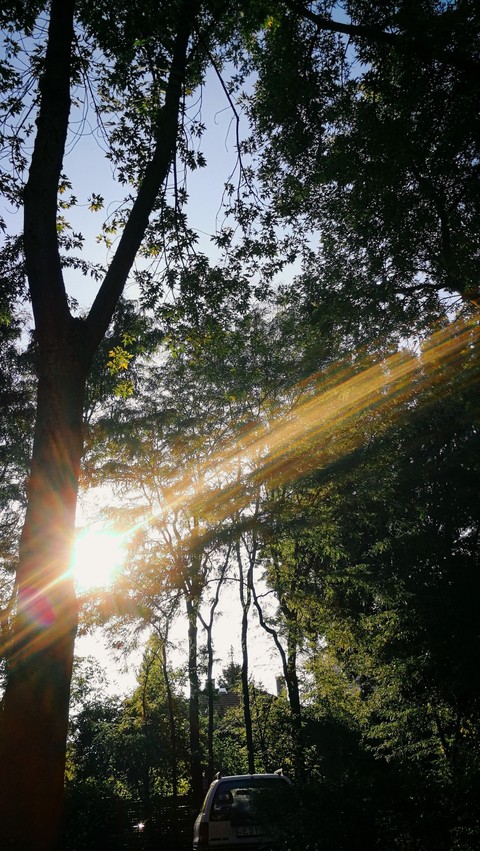 Light reflection