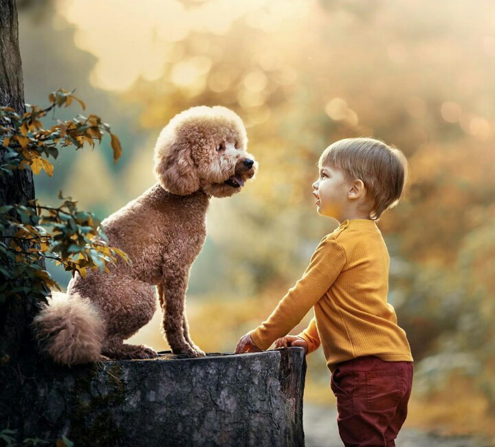 ❤〰 Boy & His Friend 〰❤