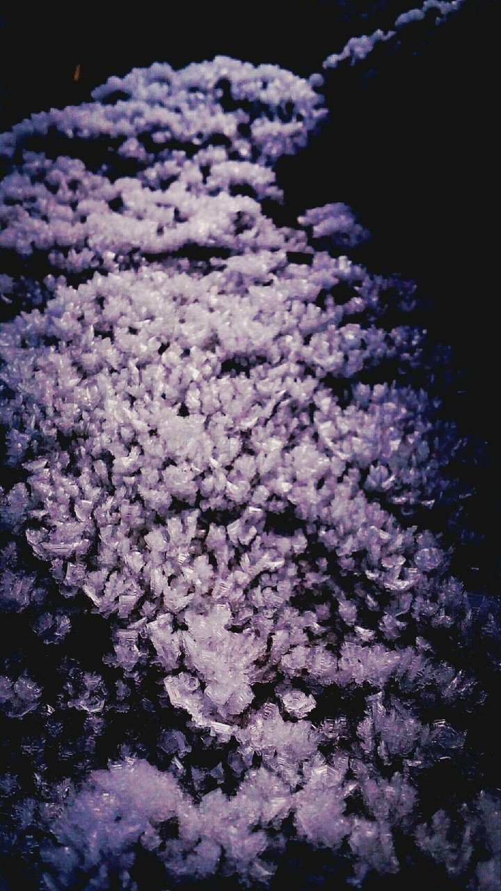 Purple Crystals