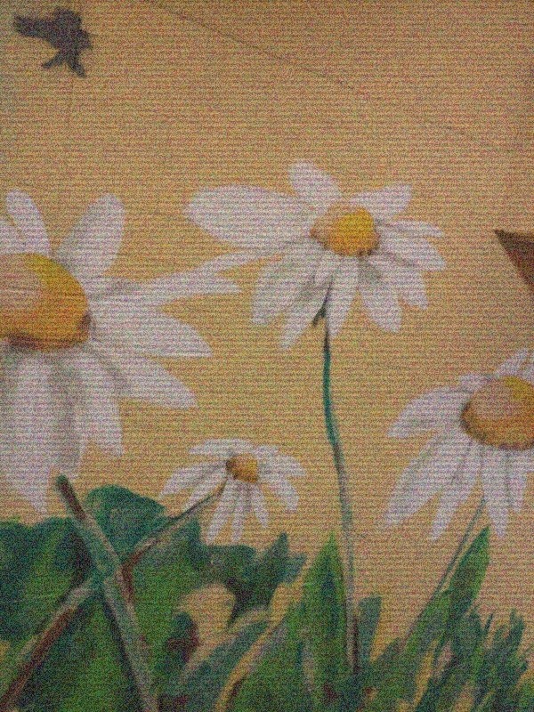 wall.