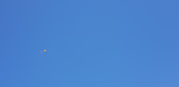 kite