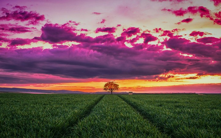 Nature