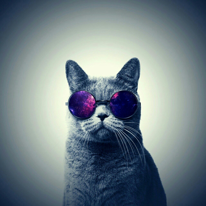Space spectacles