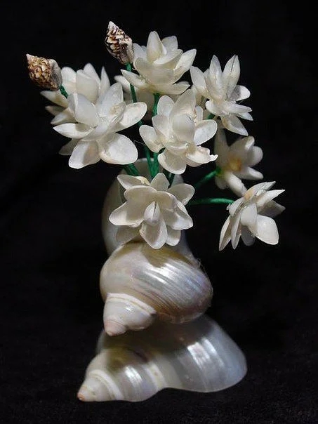 Shell