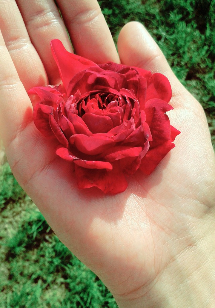 Keep it next to your heart