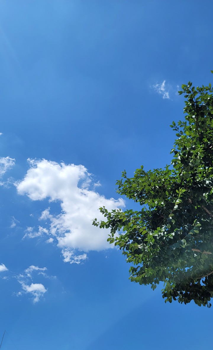 sky