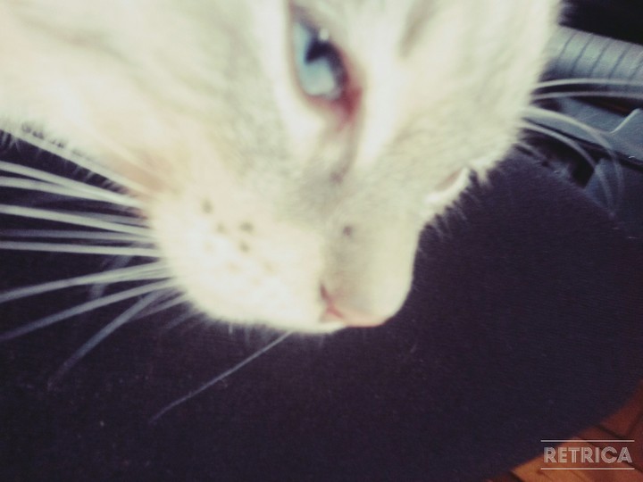trop mignon non