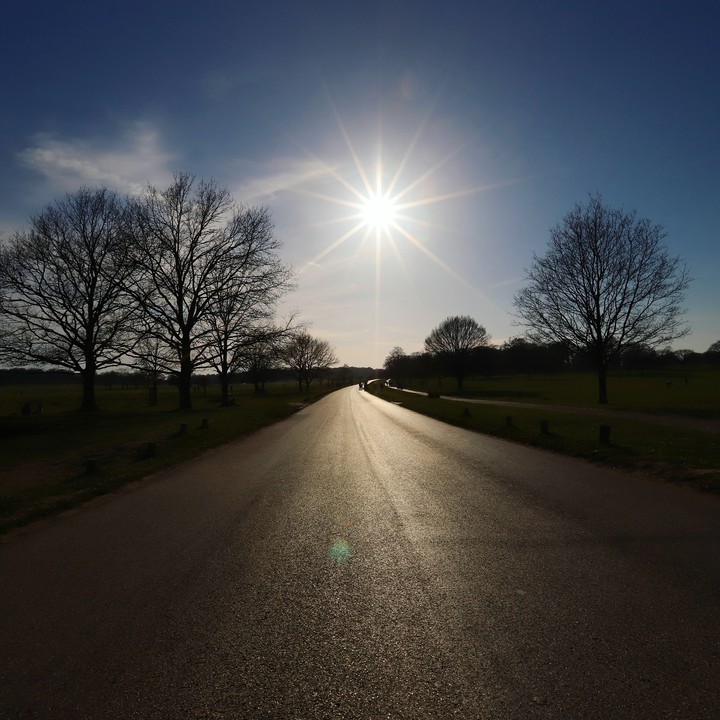 Richmond Park UK