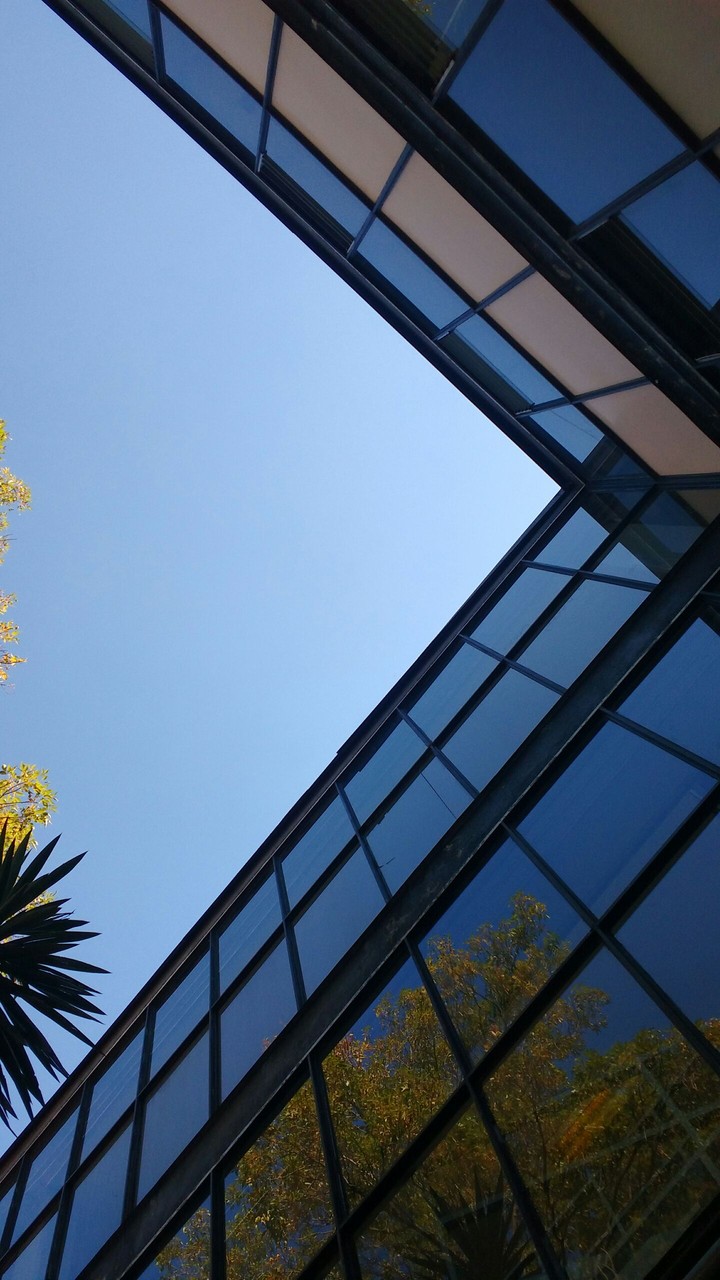 Looking at sky