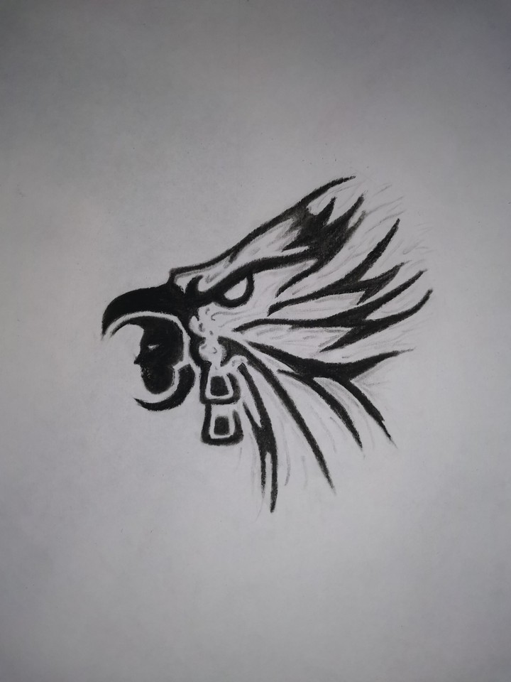 águila