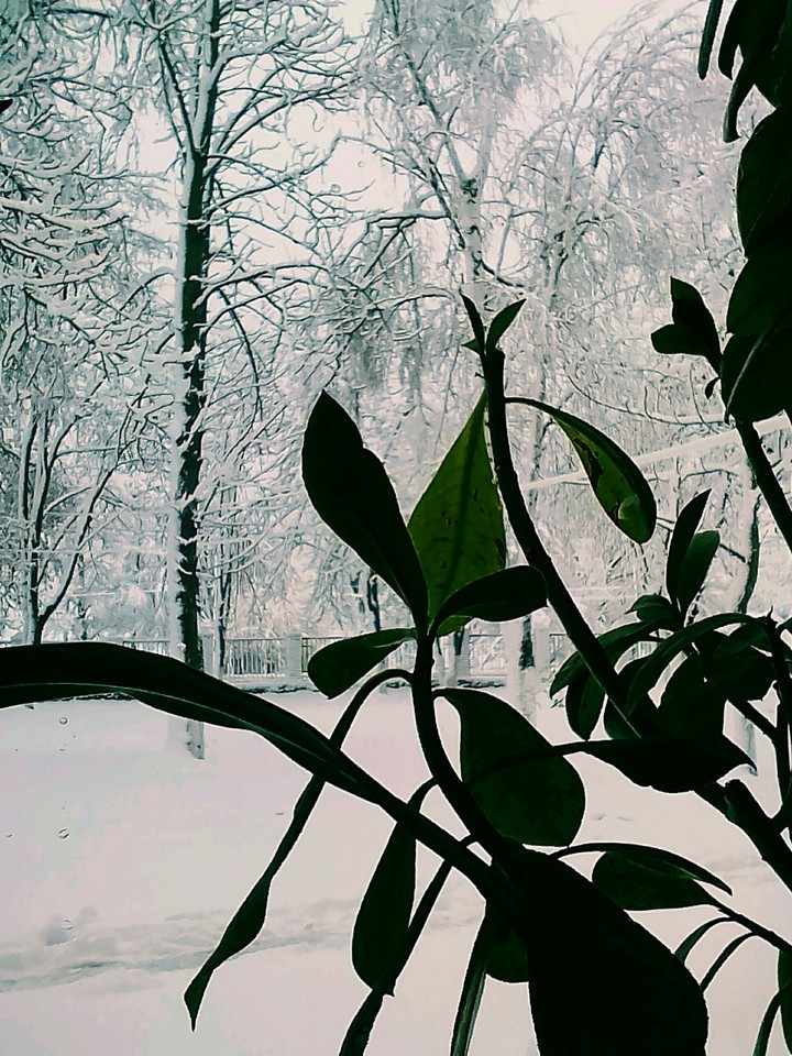 We have the snow! Are you have?