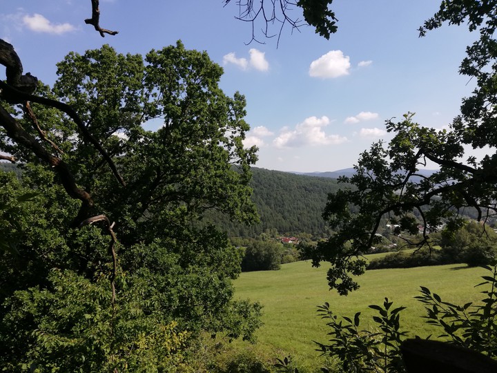 lovely nature