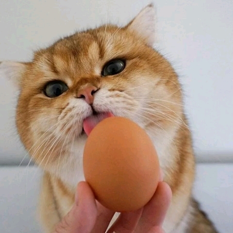 ♡☆