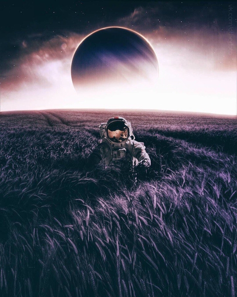 cosmos