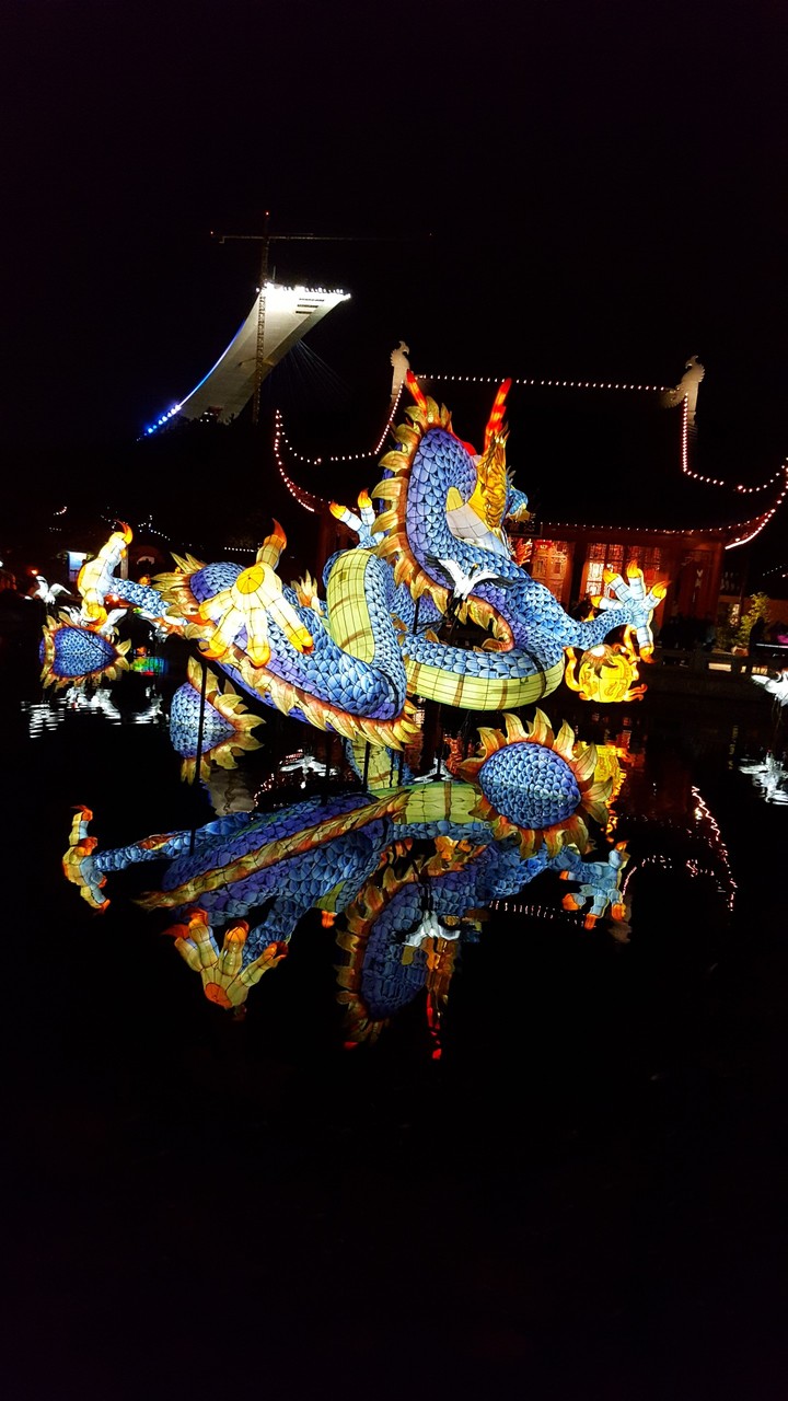 Dragon on the Water