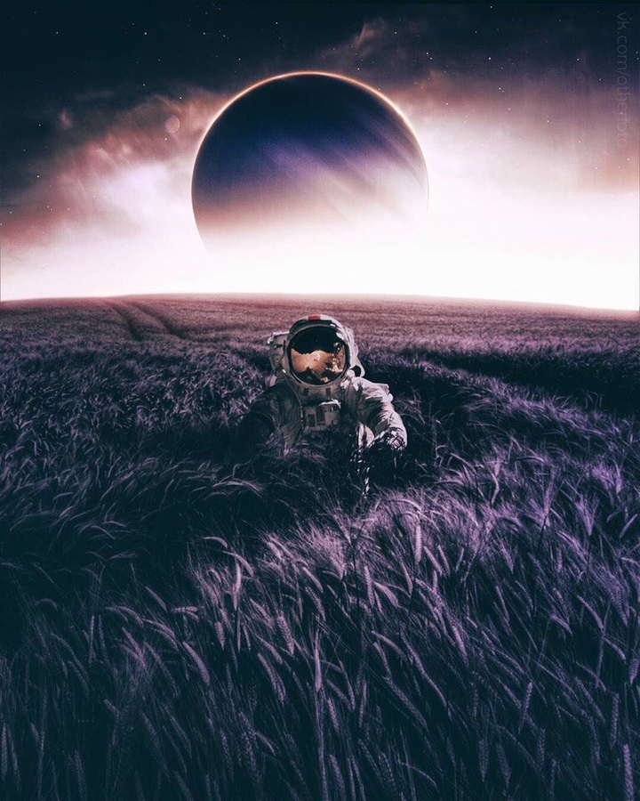 cosmos