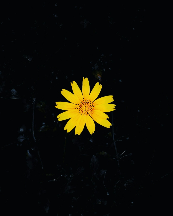 yellow