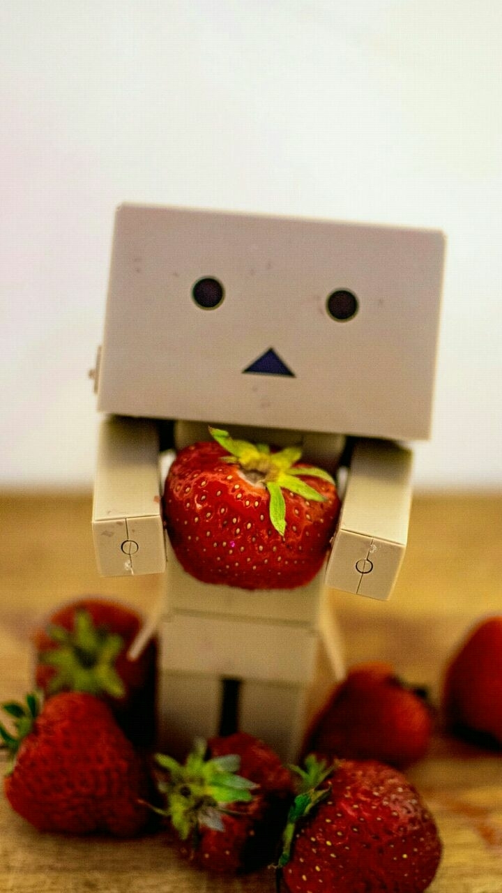 fruit