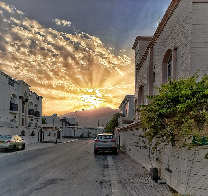 Morning sunshine