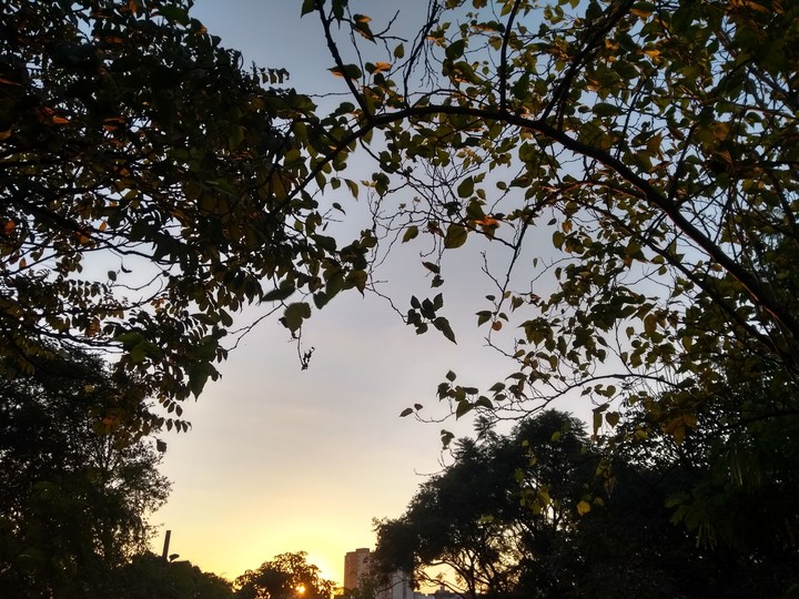 sun