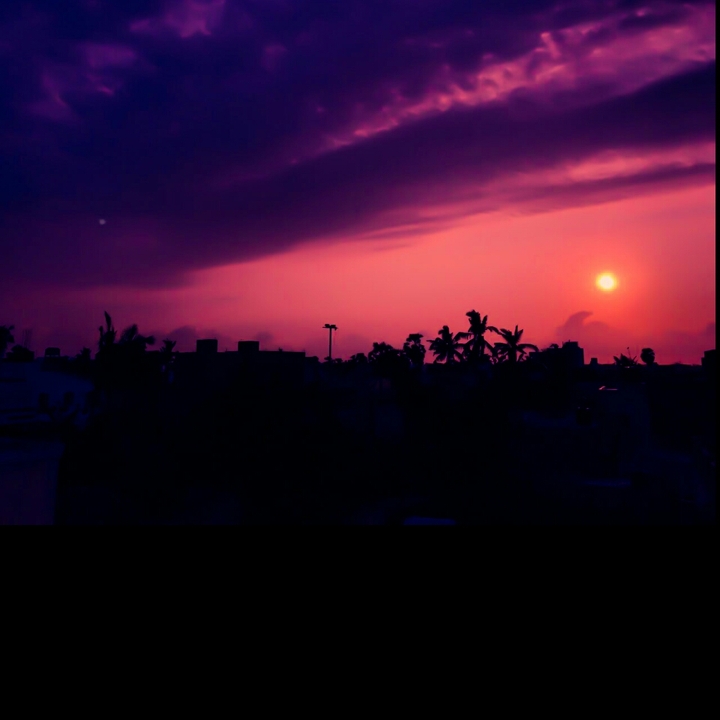 Sun