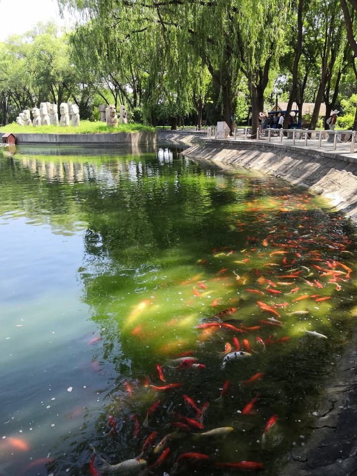 Fishes