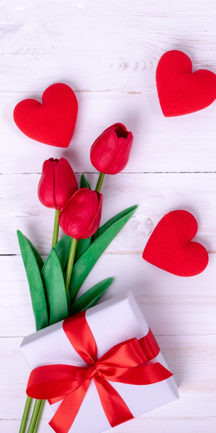 hình nền red, tulip