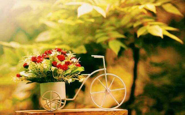flower...pot