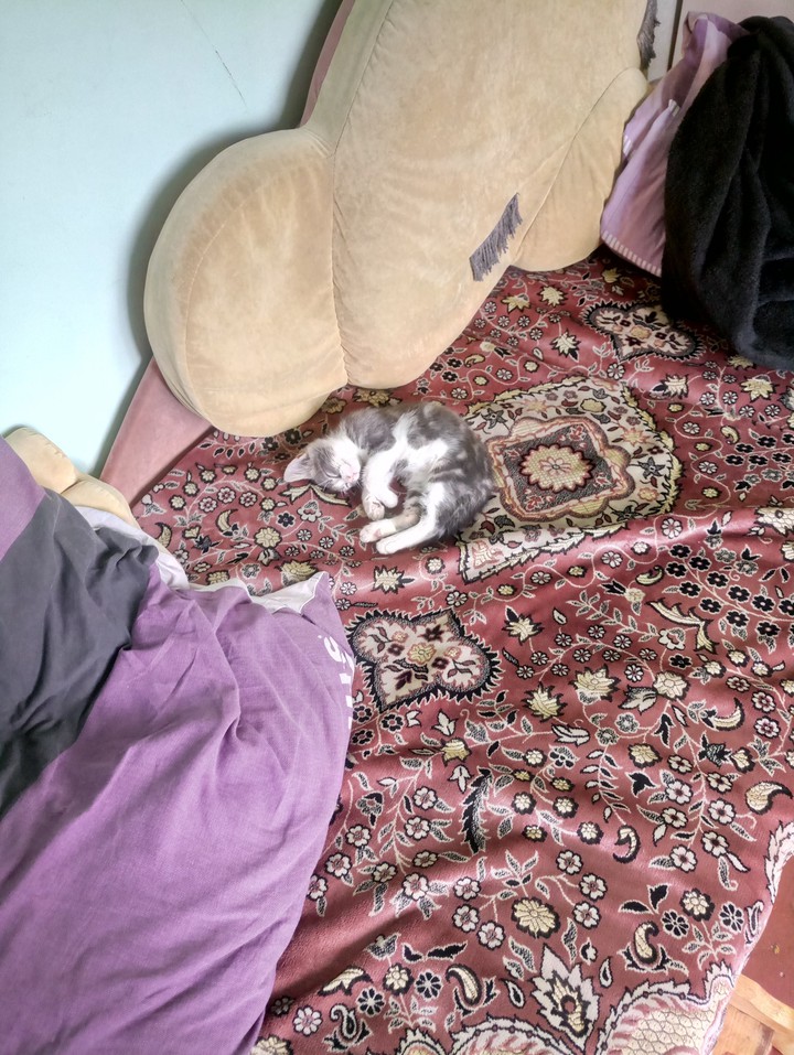 Жулик