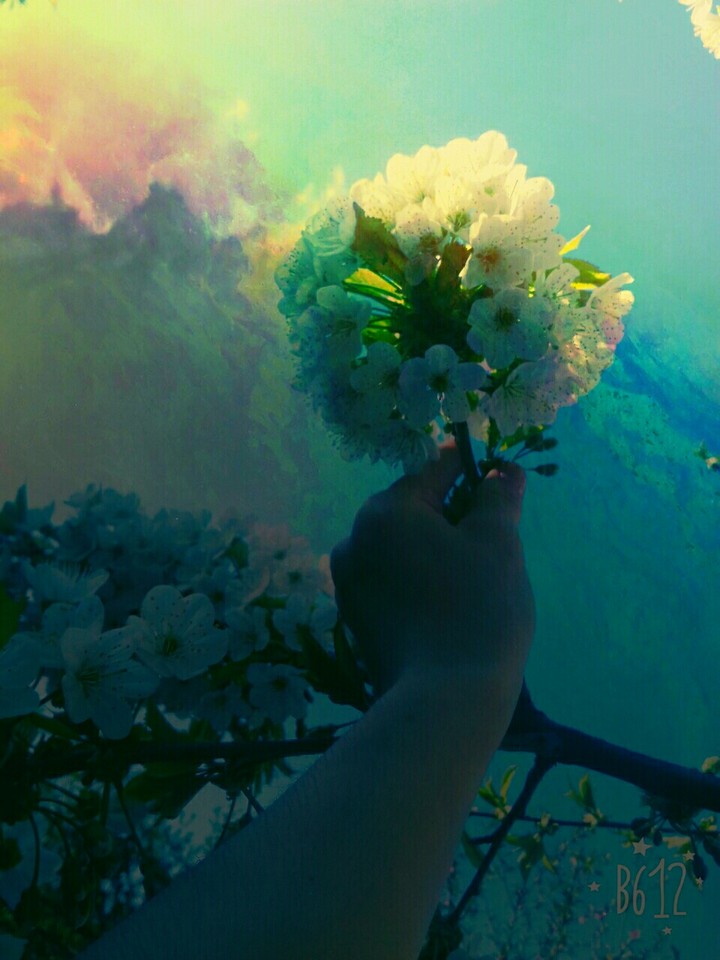 SPRING........