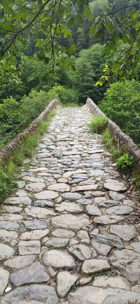 creek stone bridge black sea
