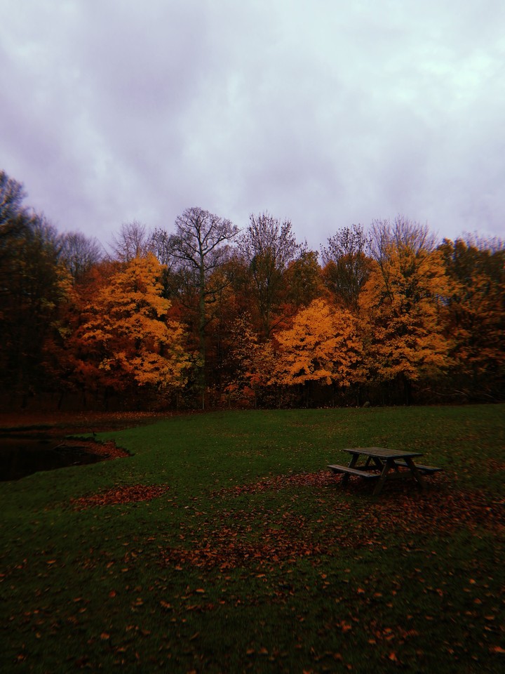 #autumn