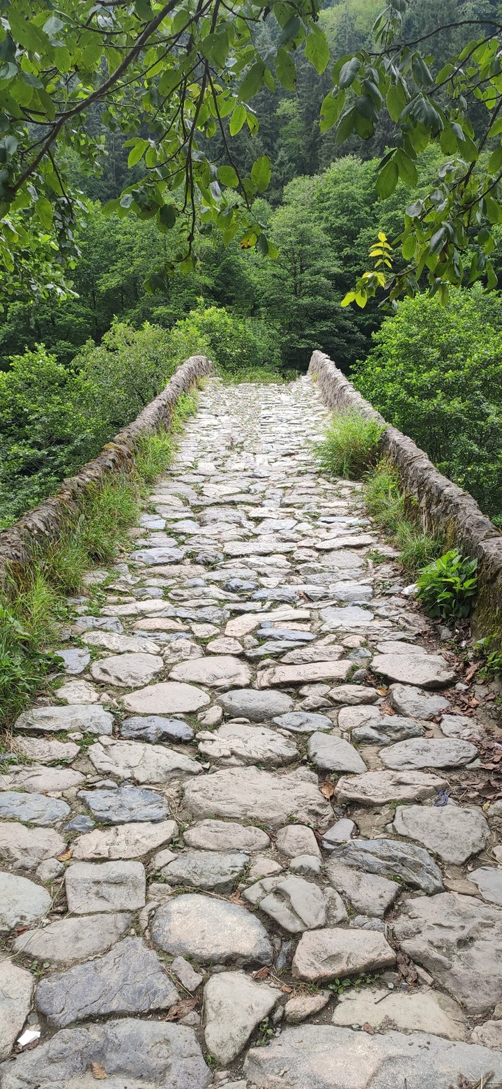 creek stone bridge black sea