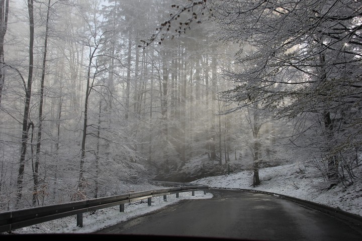 Winter during spring