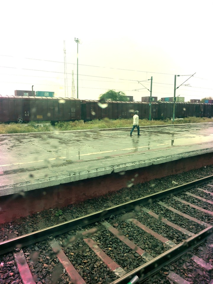Rainy View