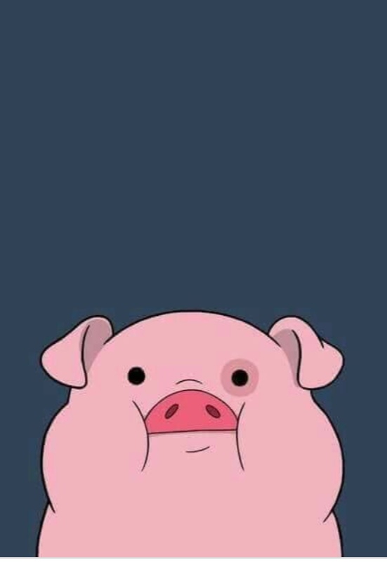 pig