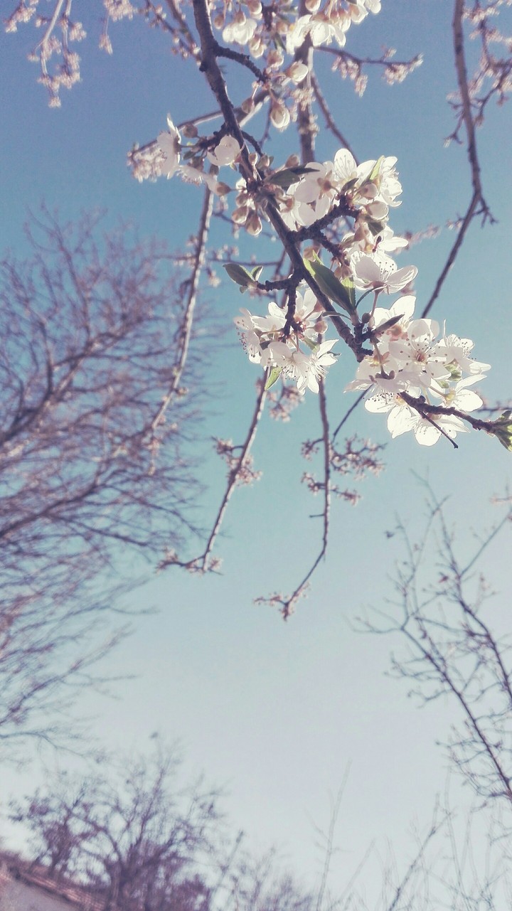 Spring