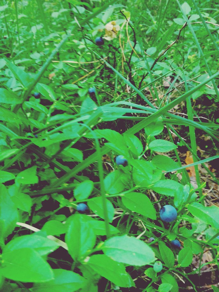 Nature