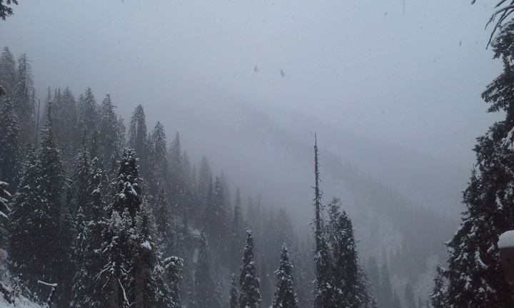 Snow Fall