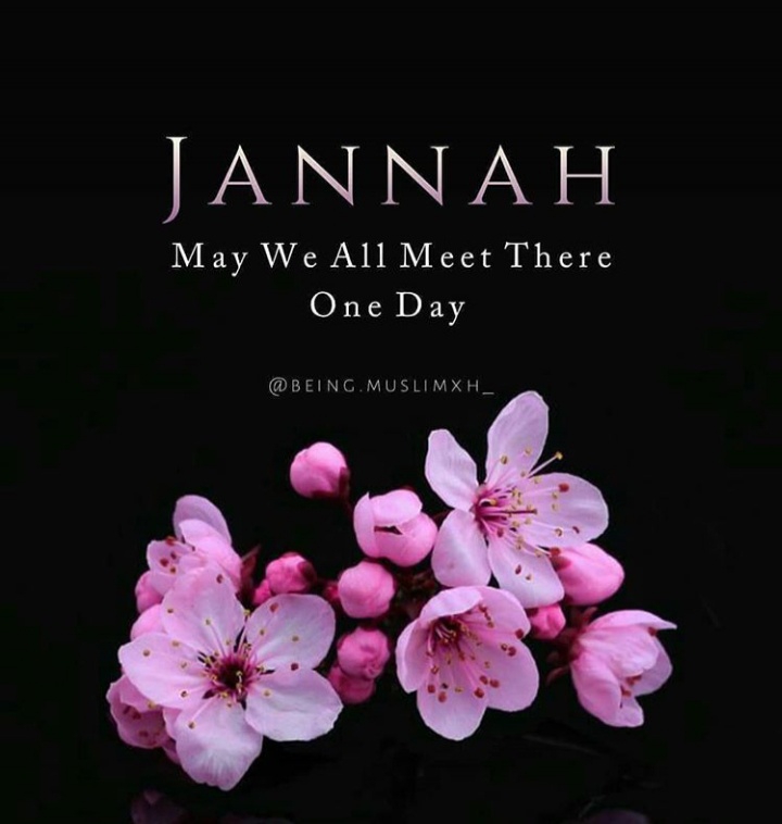 About Jannat