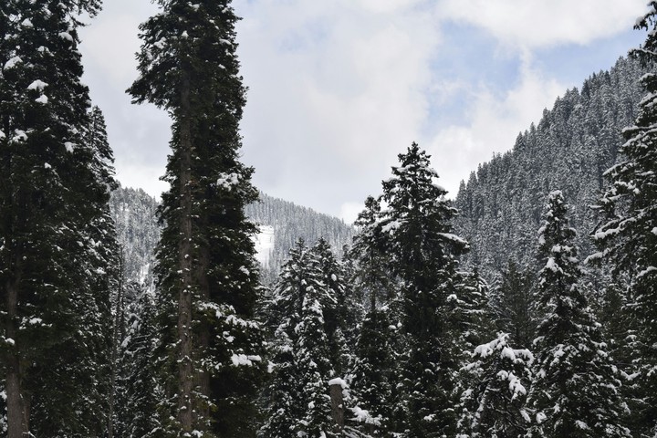 Kashmir it is not Switzerland