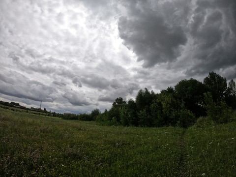 rain