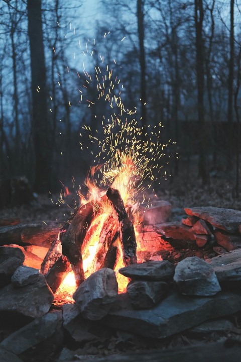 firewood