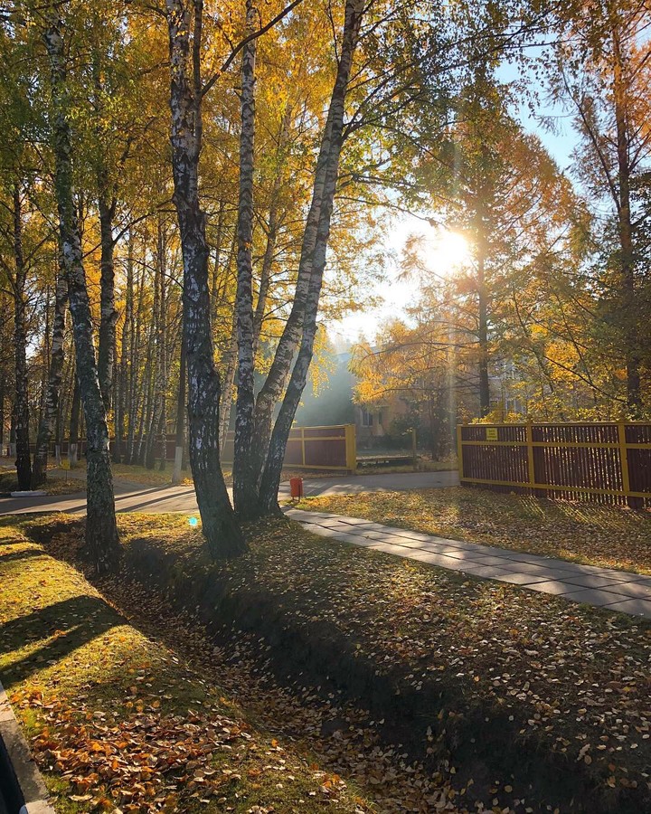 autumn
