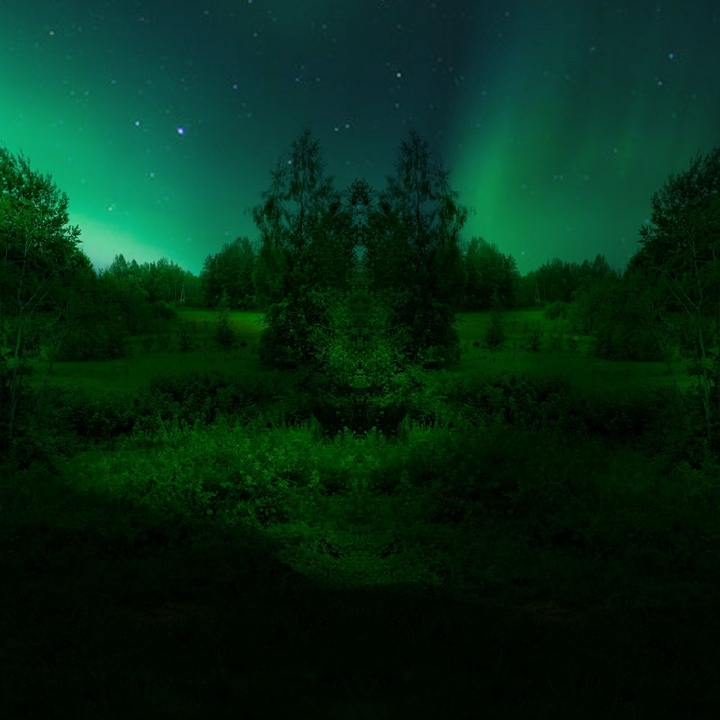 summer night