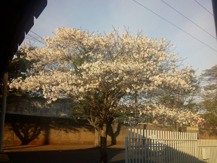 bom dia!